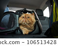 Pet carrier in the car on the seat. Traveling with an animal. 106513428