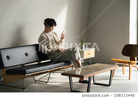 A man looking at his smartphone in the living room A man looking at his smartphone in the living room 106513440