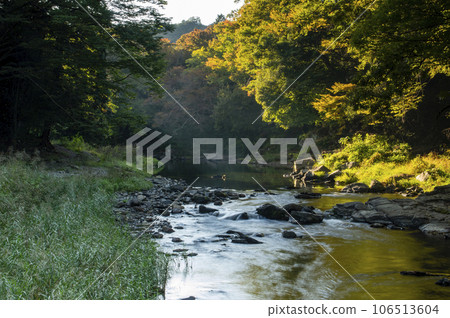 River in Arashiyama Valley in autumn 106513604