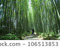 京都夏天的竹林 106513853