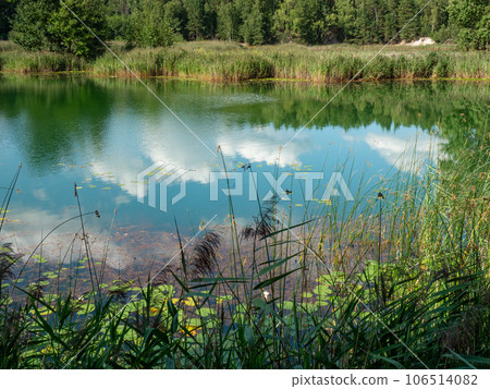 Poisoned lake in opencast mine Muzakow, Leknica Poisoned lake in opencast mine Muzakow, Leknica 106514082