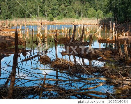 Poisoned lake in opencast mine  Muzakow, Leknica 106514084