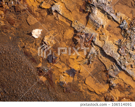 Birch leaf in ferric sediments on lake beach in closed coal lignite quarry. Birch leaf in ferric sediments on lake beach in closed coal lignite quarry. 106514091