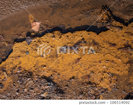 Grass and leaves cought in ferric mud. The chemical rests 106514092