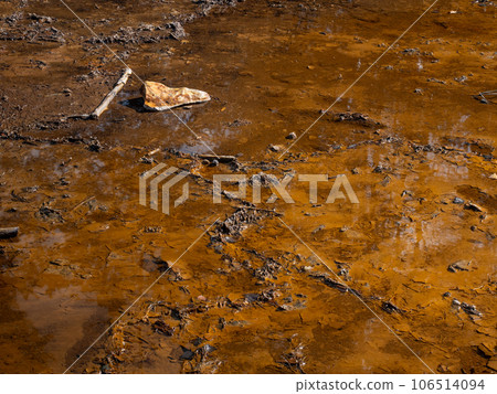 Red mud on the open lignite mine lake. Geopark Bad Muskau Leknica. 106514094