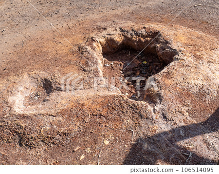 Dry ferric mud and rusty sand. Leknica Muzakow coal quarry. 106514095