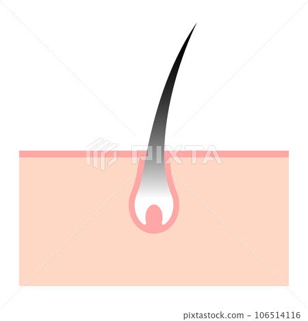 髮根變灰 106514116