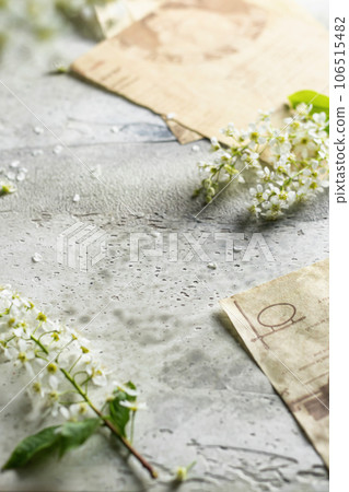 Bird cherry flowers and vintage scrapbook on textured background. Spring background, place for text 106515482