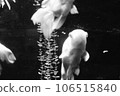 Goldfish   106515840