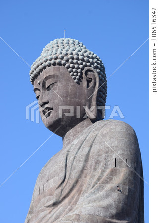 Ushiku Daibutsu世界上最大的銅像 106516342