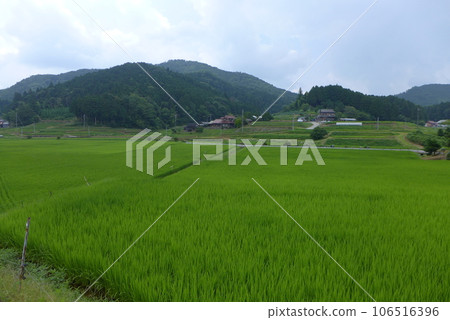 葛城町下天野的鄉村景觀 106516396