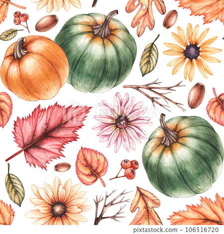 Watercolor autumn pattern with pumpkins, flowers, withered leaves on a white background 106516720