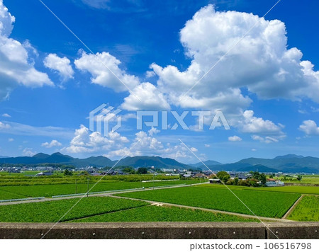 Country landscape Country landscape 106516798