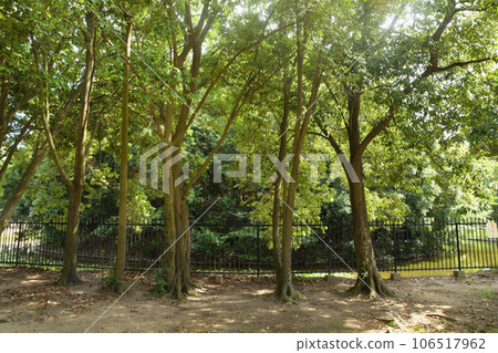 大塚古墳(神戶市) 大塚古墳(神戶市) 106517962