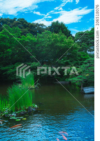 Scenery of Japanese garden Scenery of Japanese garden 106518076