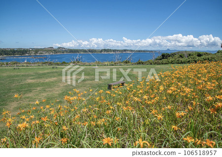 神奈川縣三浦市三崎町城島公園,夏天 神奈川縣三浦市三崎町城島公園,夏天 106518957
