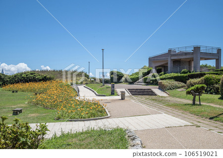 Jogashima Park, Misakicho, Miura City, Kanagawa Prefecture, summer Jogashima Park, Misakicho, Miura City, Kanagawa Prefecture, summer 106519021