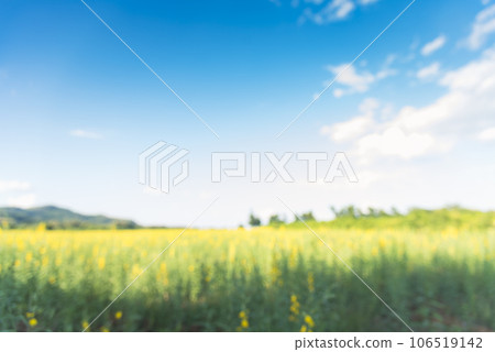 Blur background green park garden nature bright sunny forest. Blurry outdoor park in spring time glowing shinny day template with sunlight bokeh. Abstract blurred background banner copy space. Blur background green park garden nature bright sunny forest. Blurry outdoor park in spring time glowing shinny day template with sunlight bokeh. Abstract blurred background banner copy space. 106519142