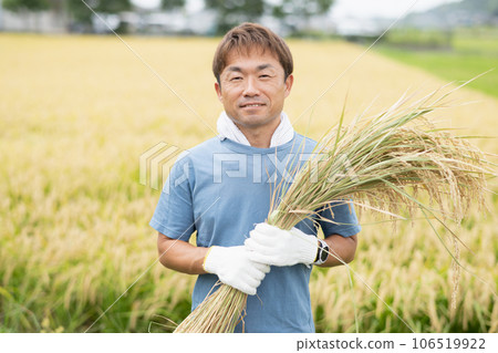 農民收割水稻 農民收割水稻 106519922