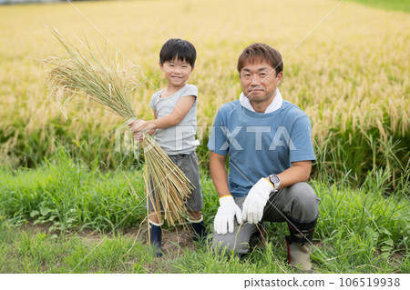 Family living in the countryside, rice harvesting, migration Family living in the countryside, rice harvesting, migration 106519938
