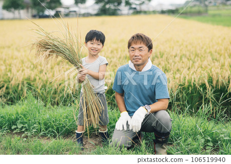 Family living in the countryside, rice harvesting, migration Family living in the countryside, rice harvesting, migration 106519940