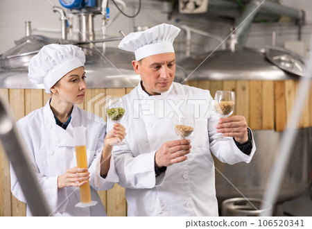 Couple of brewers examining hop pellets and malted grain at brewery 106520341