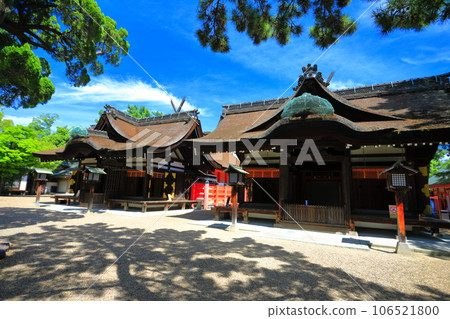 [大阪府] 晴天的住吉大社本宮（第3、第4本宮） 106521800