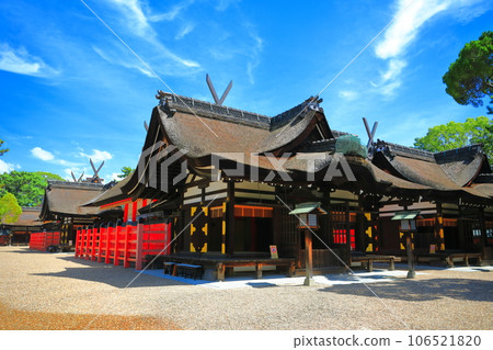 [Osaka Prefecture] Sumiyoshi Taisha Main Shrine (Third Main Shrine) on a sunny day 106521820