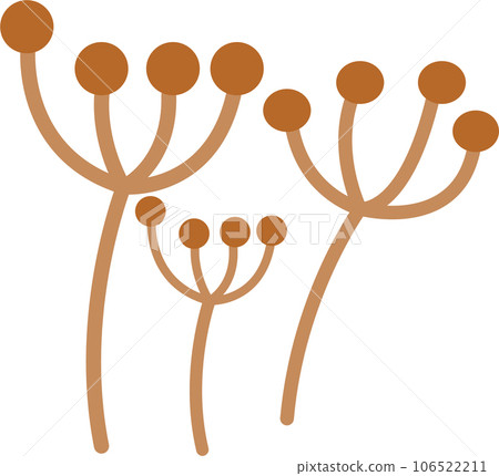 Autumn element fall day botanical Autumn element fall day botanical 106522211