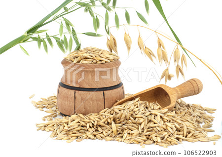 Unhulled oat grain seeds over white background 106522903