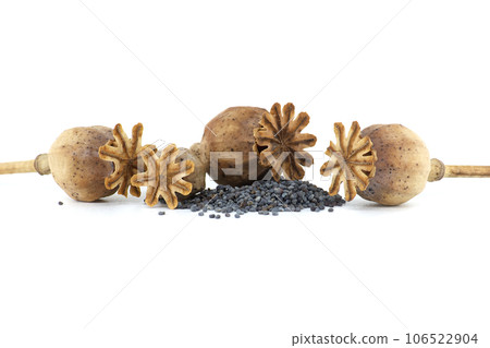 Heap of poppy seeds and dried pod isolated on white 106522904