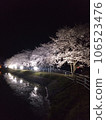 櫻花在晚上 106523476