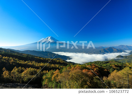 從山梨縣河口湖的林間道路看到的雲海富士山 106523772
