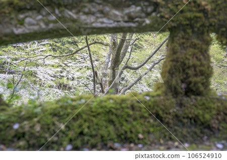 透過欄杆之間的縫隙看到大自然 106524910