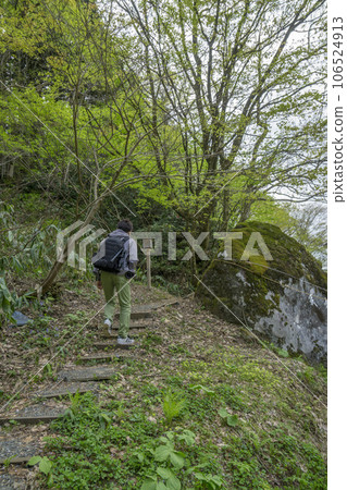 Climber climbing the stairs on a mountain path 106524913