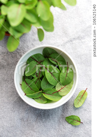 Fresh sorrel microgreens 106525140