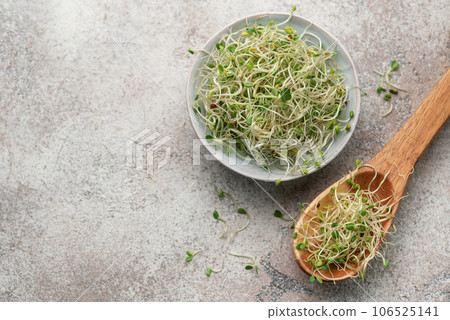 Microgreens grown in a jar. Microgreens grown in a jar. 106525141