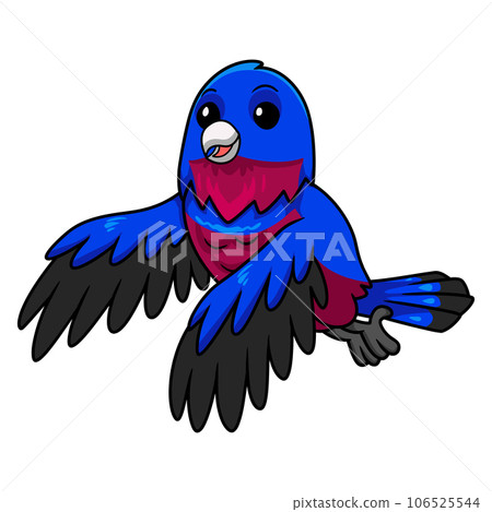 Cute banded cotinga bird cartoon flying Cute banded cotinga bird cartoon flying 106525544
