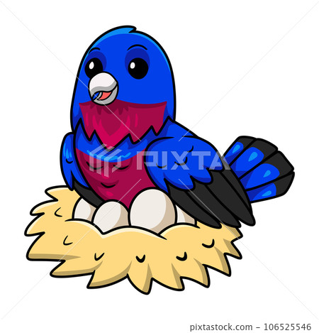 Cute banded cotinga bird cartoon with eggs in the nest Cute banded cotinga bird cartoon with eggs in the nest 106525546