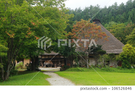 Autumn foliage grove and old folk house with thatched roof 106526846