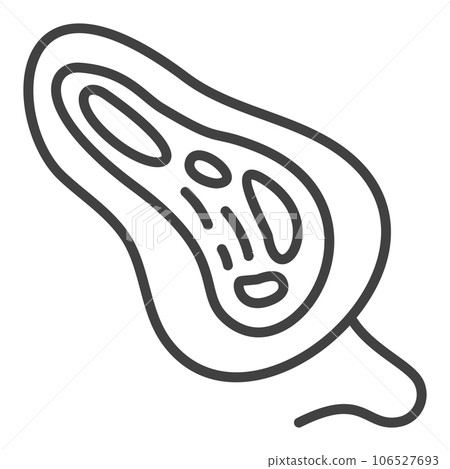 Bacteria vector Microbiology concept linear icon or symbol Bacteria vector Microbiology concept linear icon or symbol 106527693