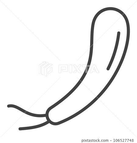 Spirillum vector Gram negative bacteria concept outline icon Spirillum vector Gram negative bacteria concept outline icon 106527748