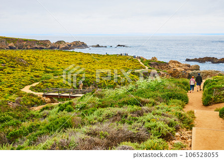 Green and yellow hillside leading to ocean shoreline view with people walking dirt trail 106528055