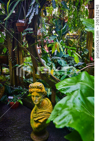 Plants around trellis with circular opening and close up view of statue head 106528248