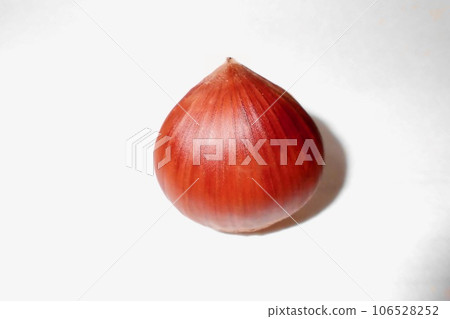 栗子特寫鏡頭 栗子特寫鏡頭 106528252