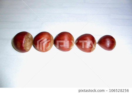 Chestnuts in line Chestnuts in line 106528256