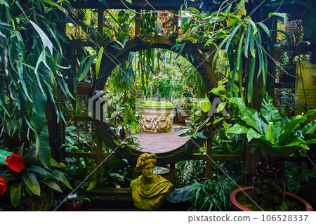 Trellis with moon gate covered in green plants with distant large planter 106528337