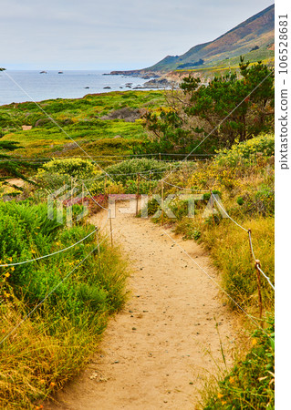 Dirt trail with thin stick and thin thread along path leading down wildflower hillside to ocean 106528681
