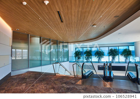 Stairs and two escalators tops with brown carpet and blue plants with blue lighting from windows Stairs and two escalators tops with brown carpet and blue plants with blue lighting from windows 106528941