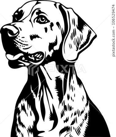 vector illustration of a dog vector illustration of a dog 106529474